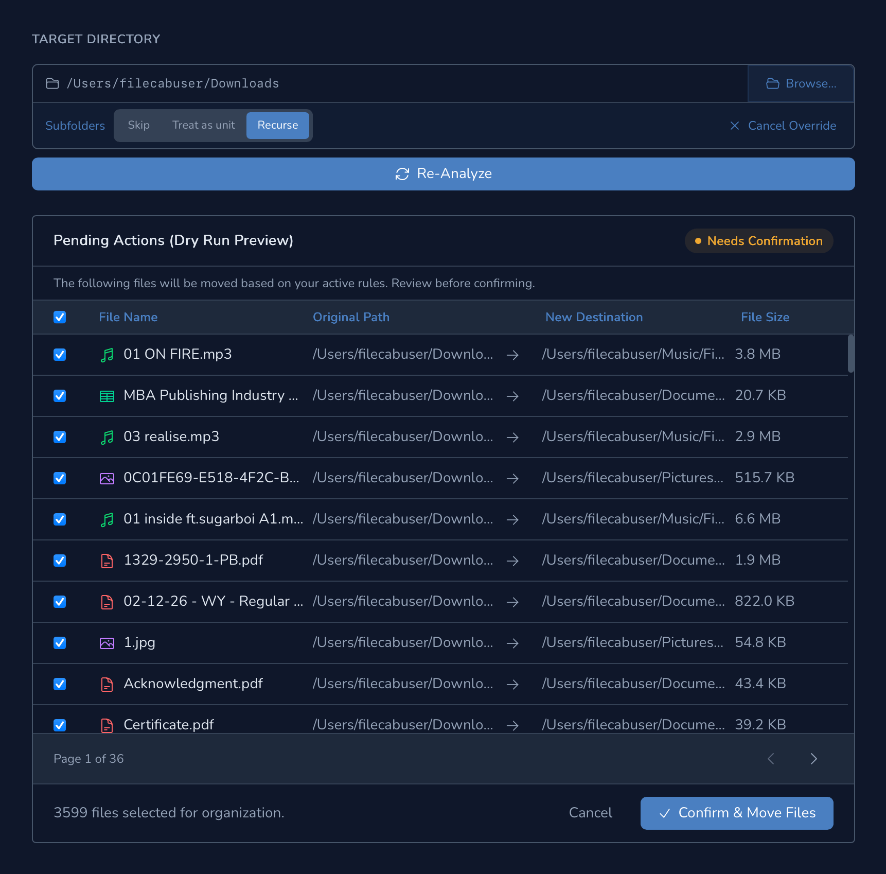 FileCab plan preview screen showing proposed file moves